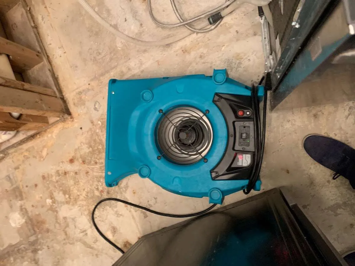 Air mover drying equipment for Mold Remediation & Removal in Monson